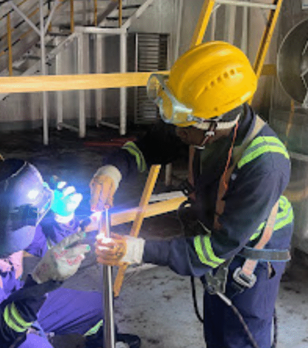 Untitled design (41)