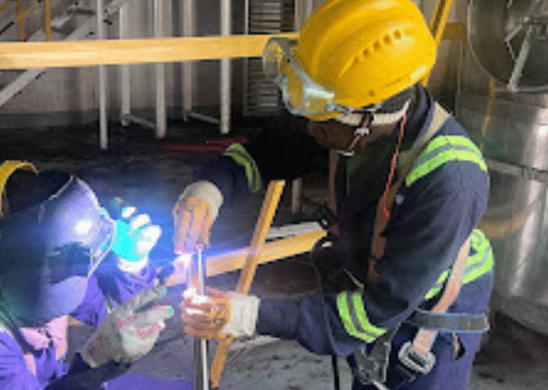 Untitled design (41)