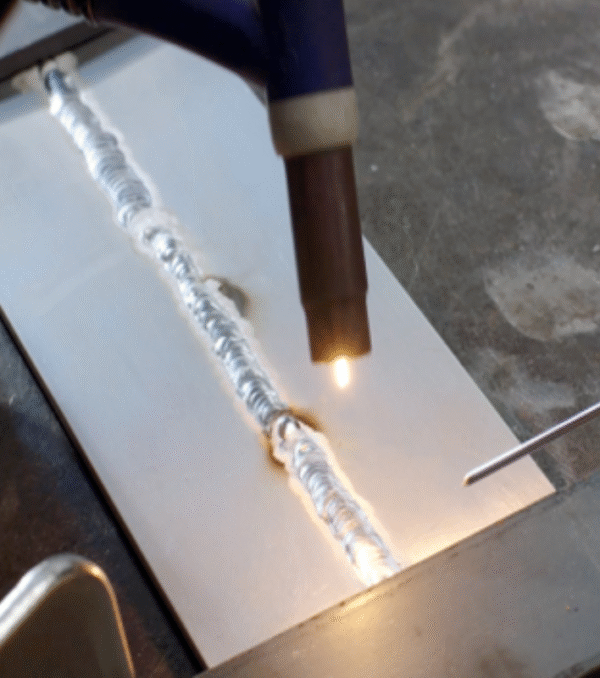 Untitled design (43)